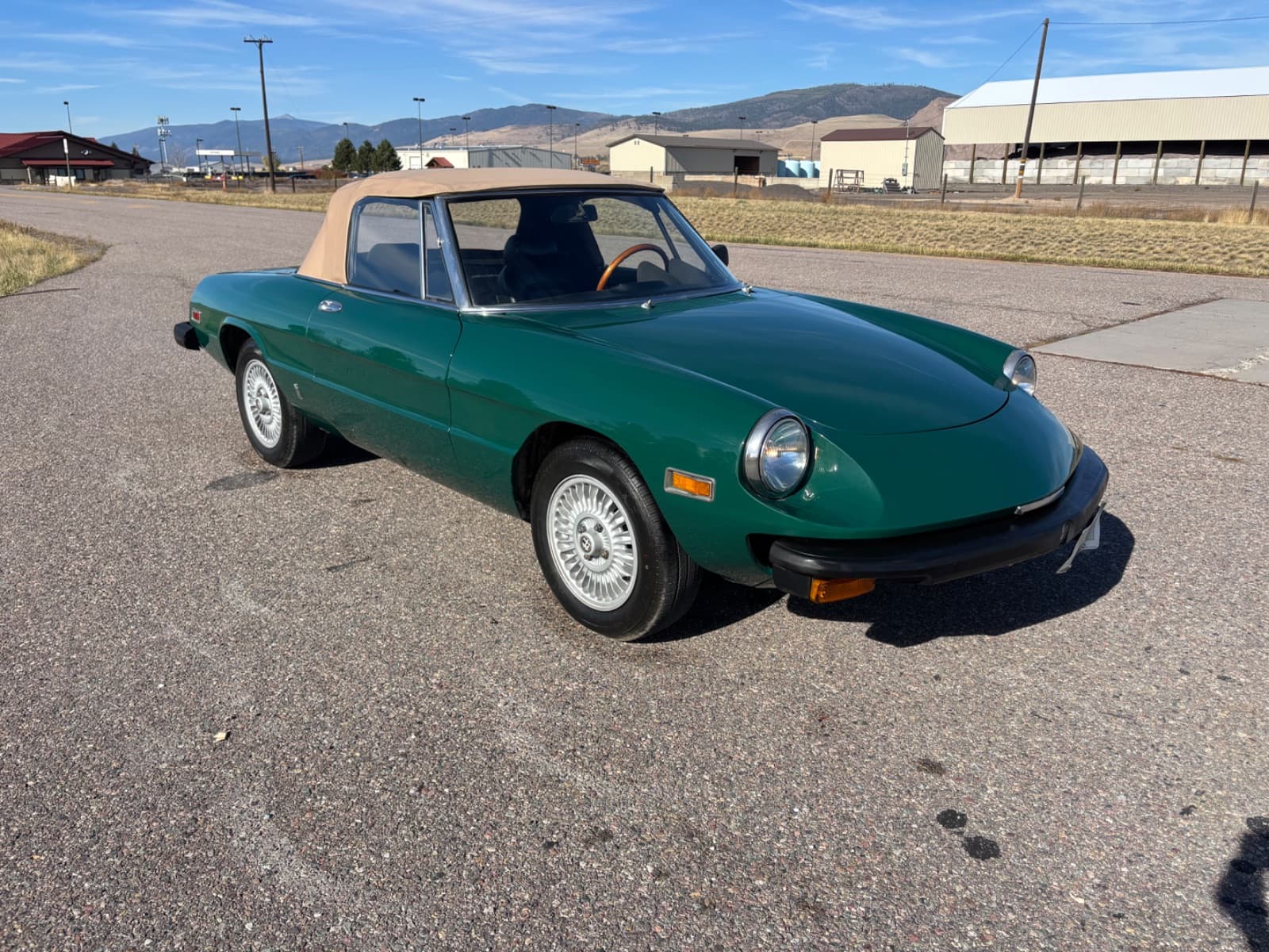 1979 Alfa Romeo 2000 Spider Veloce - Photo 1